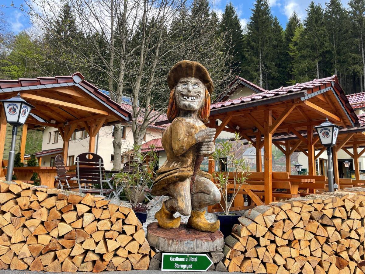 Hotel & Gasthaus Sterngrund Zella-Mehlis Bagian luar foto