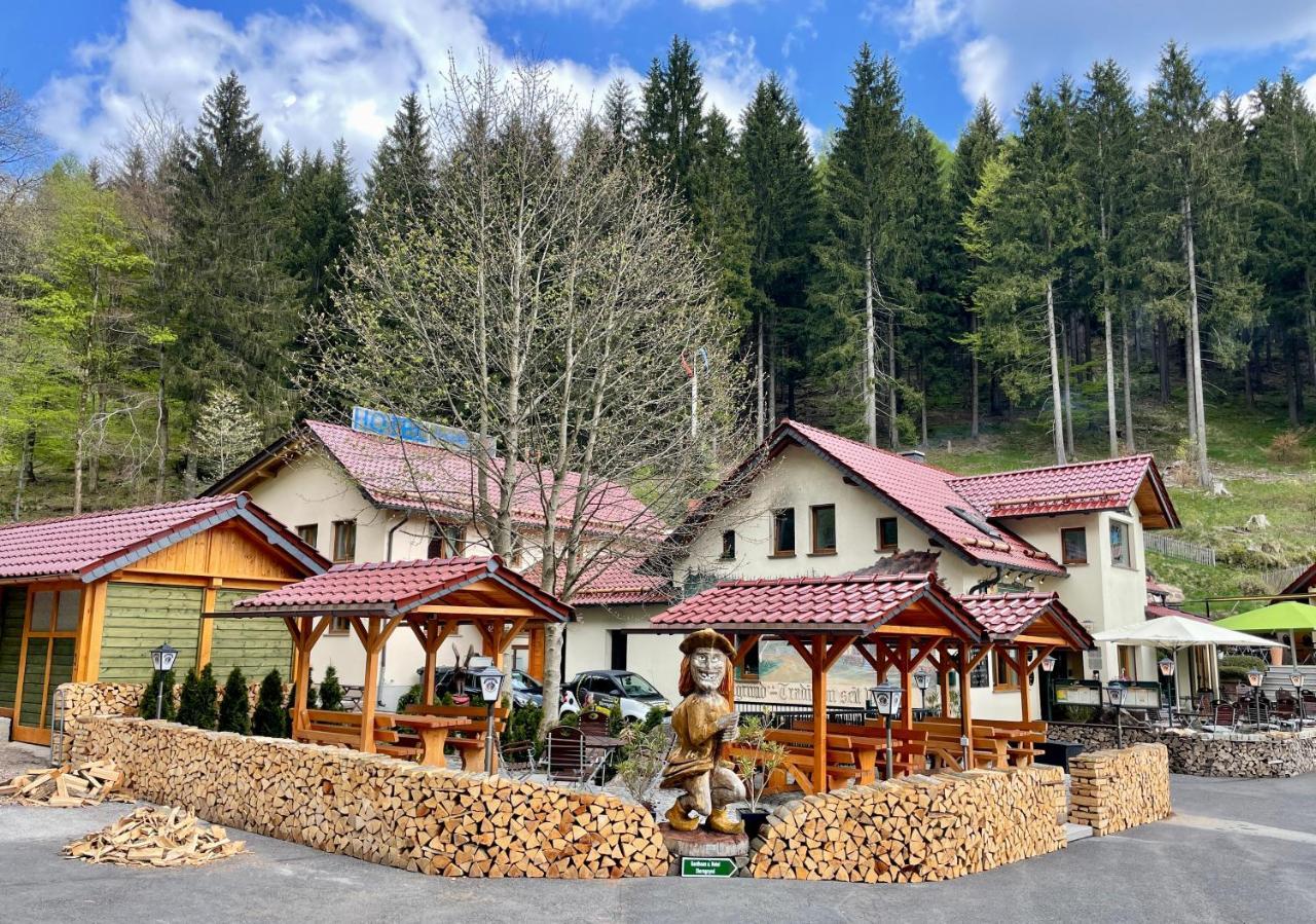 Hotel & Gasthaus Sterngrund Zella-Mehlis Bagian luar foto