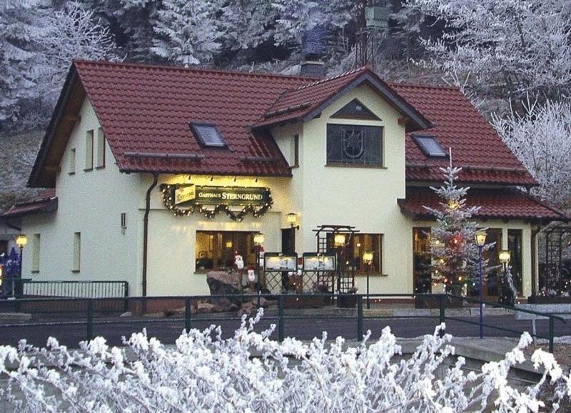Hotel & Gasthaus Sterngrund Zella-Mehlis Bagian luar foto