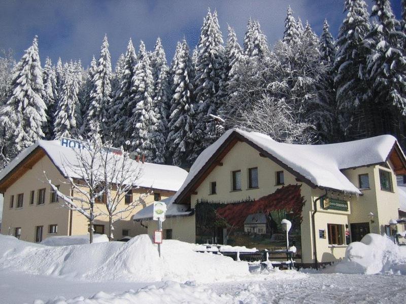 Hotel & Gasthaus Sterngrund Zella-Mehlis Bagian luar foto